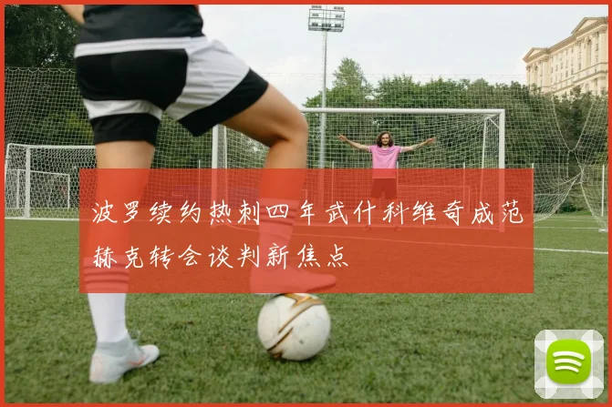 波罗续约热刺四年武什科维奇成范赫克转会谈判新焦点